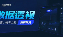 短视频直播电商,新零售时代的风口与机遇