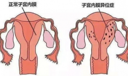 进入子宫漫画,漫画中的生命孕育之旅